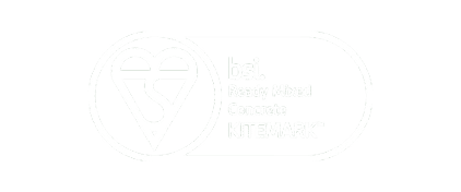 BSI Logo